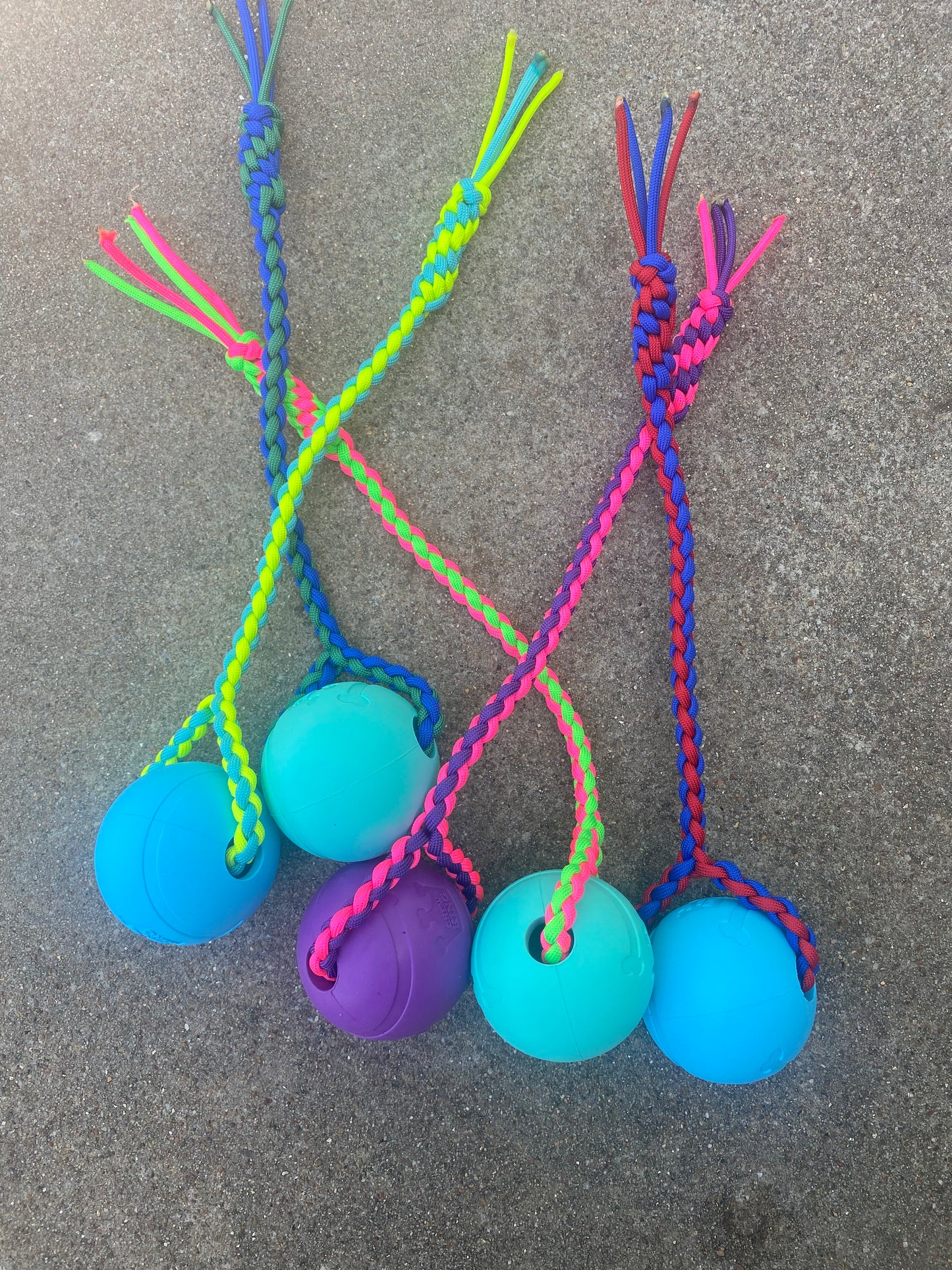 Dog Fetch Chew Toy