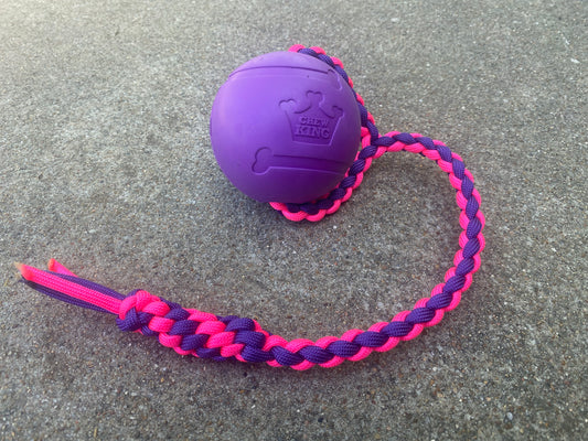 Dog Fetch Chew Toy