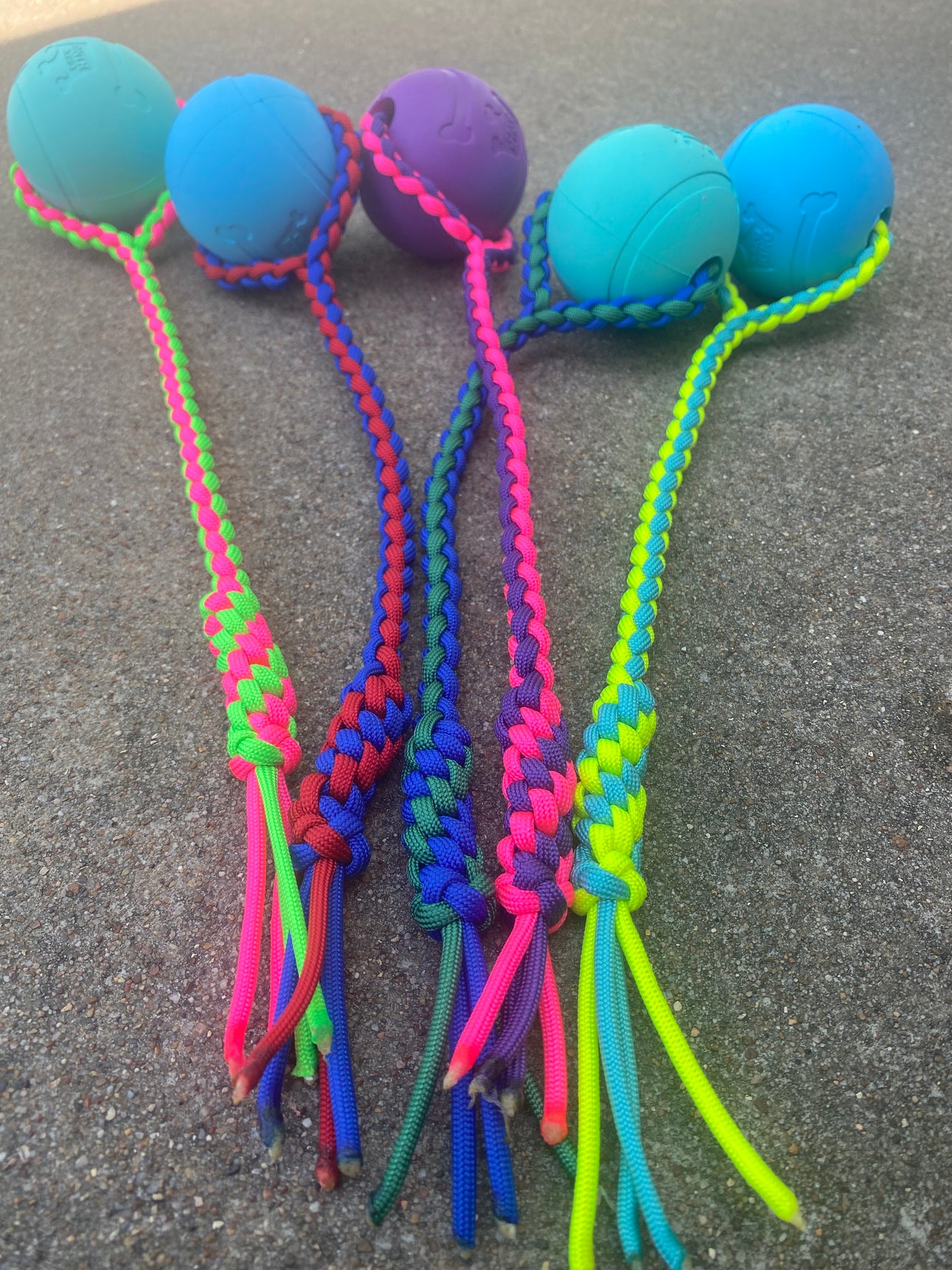 Dog Fetch Chew Toy