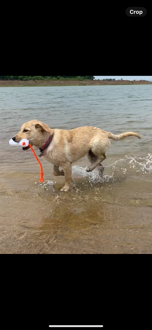 Retriever Dummies/Bumpers