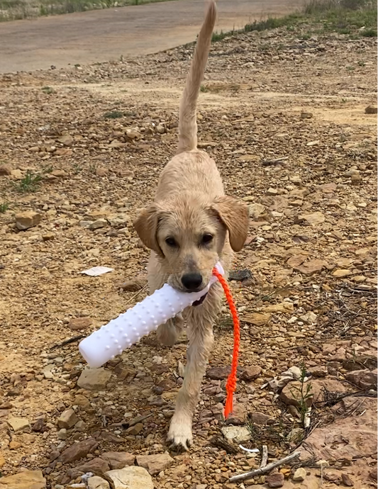 Retriever Dummies/Bumpers