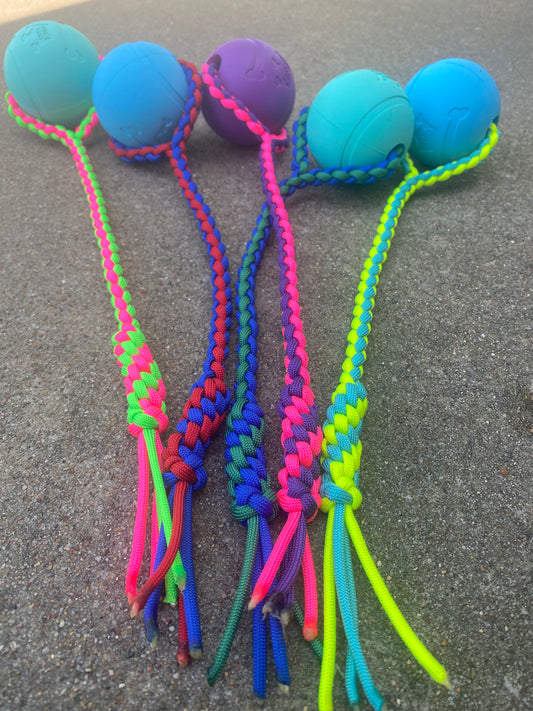Dog Fetch Chew Toy